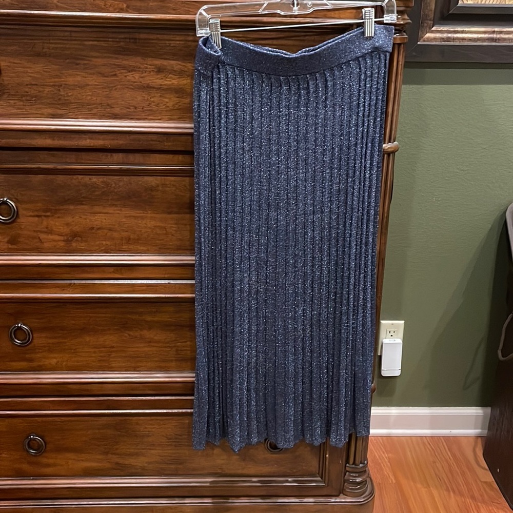 Banana republic large sparkle pleated skirt